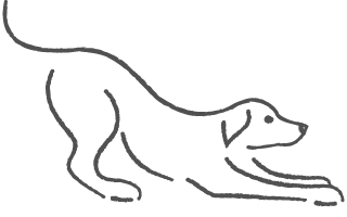 ペットと眠れる